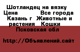 Шотландец на вязку › Цена ­ 1 000 - Все города, Казань г. Животные и растения » Кошки   . Псковская обл.